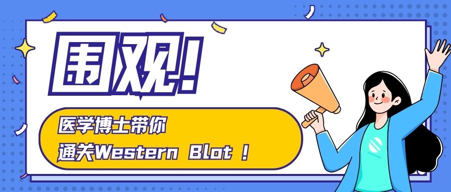 WB科研人请集合|医学博士带你通关Western Bloting！