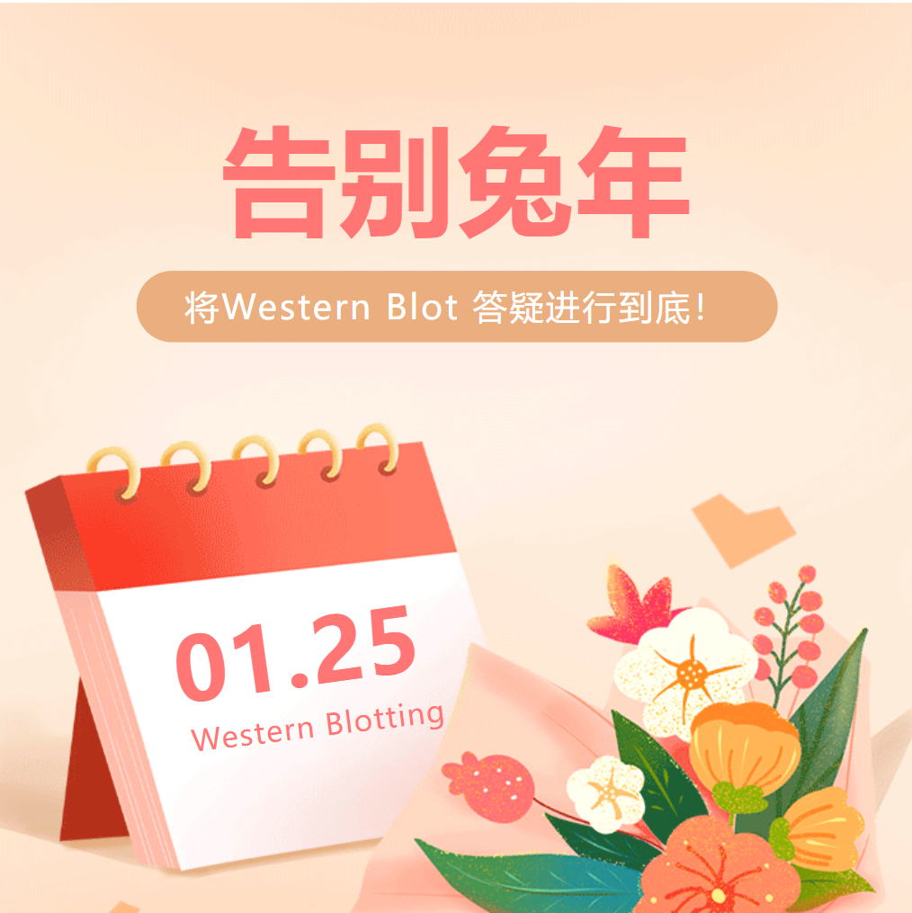 告别兔年的最后一场Western Blot直播，超多福利等你来！