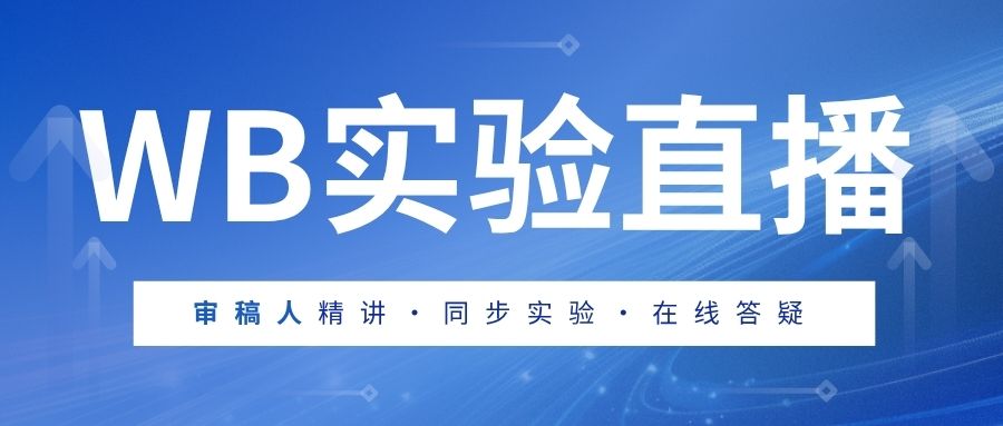 WB实验公益直播