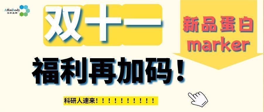 新品上市 | 预染蛋白Marker